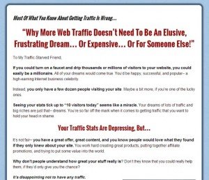 Dennis Becker - Web Traffic Guide