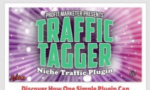 WP Traffic Tagger